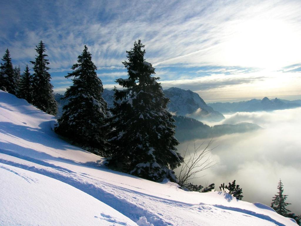 Krosbacher Hof Seefeld w Tirolu Zewnętrze zdjęcie